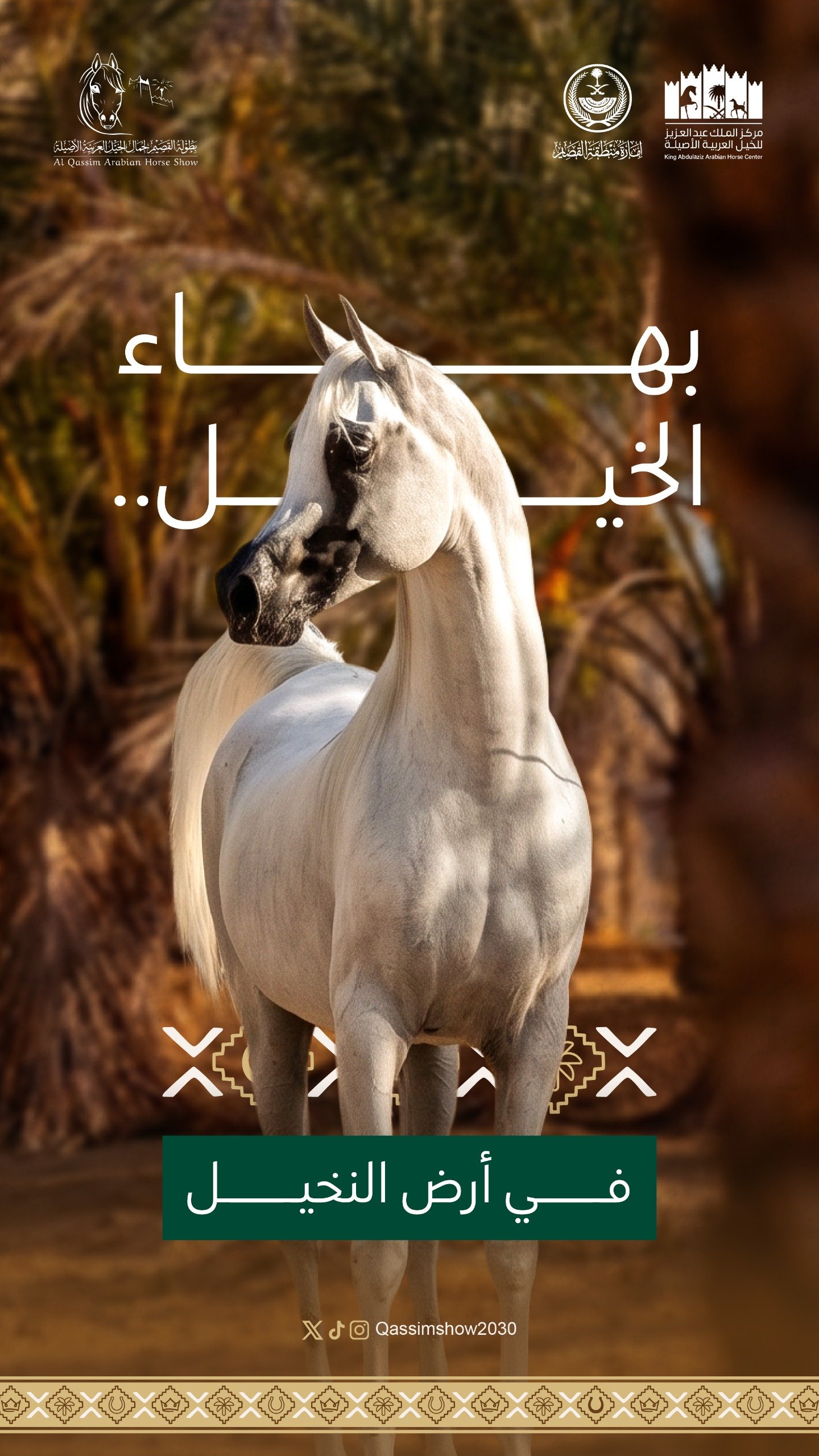 بهاء الخيل في أرض النخيل
